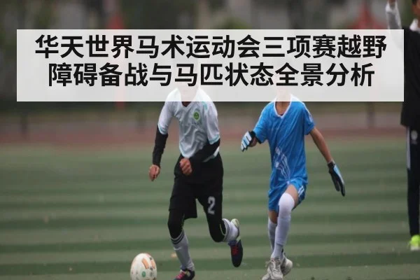华天世界马术运动会三项赛越野障碍备战与马匹状态全景分析